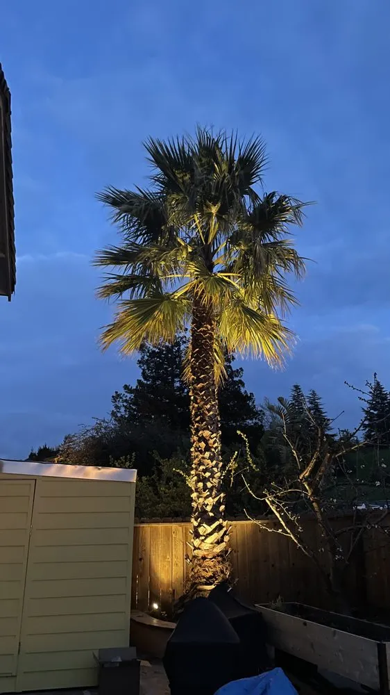 Slide of Brains Electric And Automation