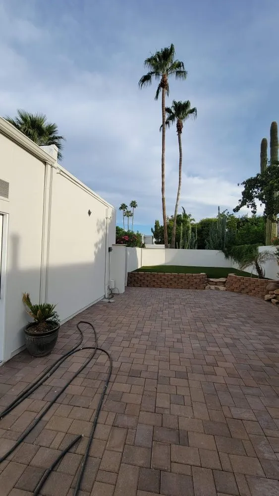 Slide of Bran Painting