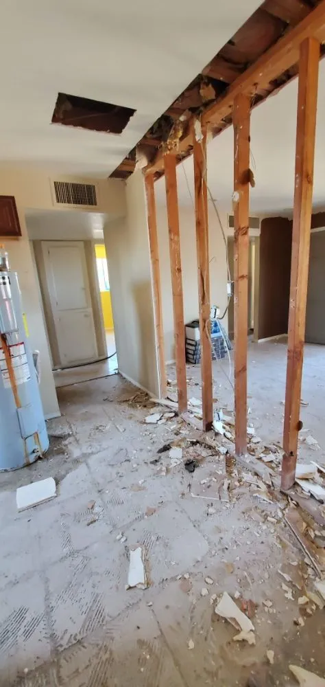 Slide of Bran Painting