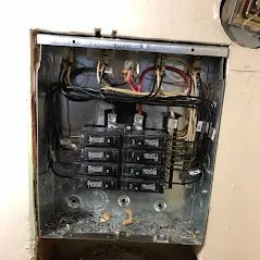 Slide of Branching Out Electric