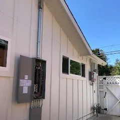 Slide of Branching Out Electric