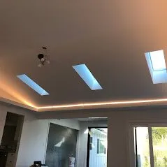 Slide of Branching Out Electric