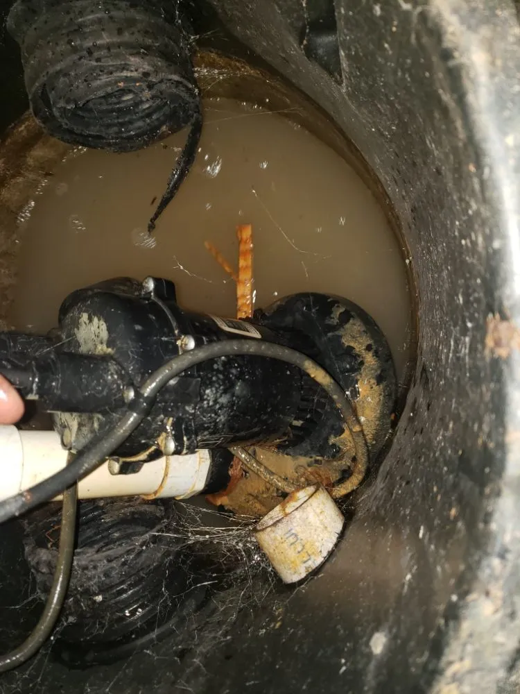 Professional lighting installation in ,  by Brand on Electrical