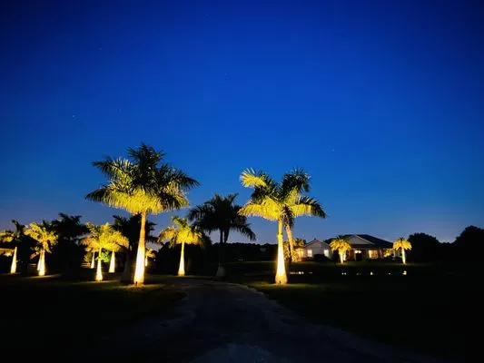 Brandon Blais Electric Logo