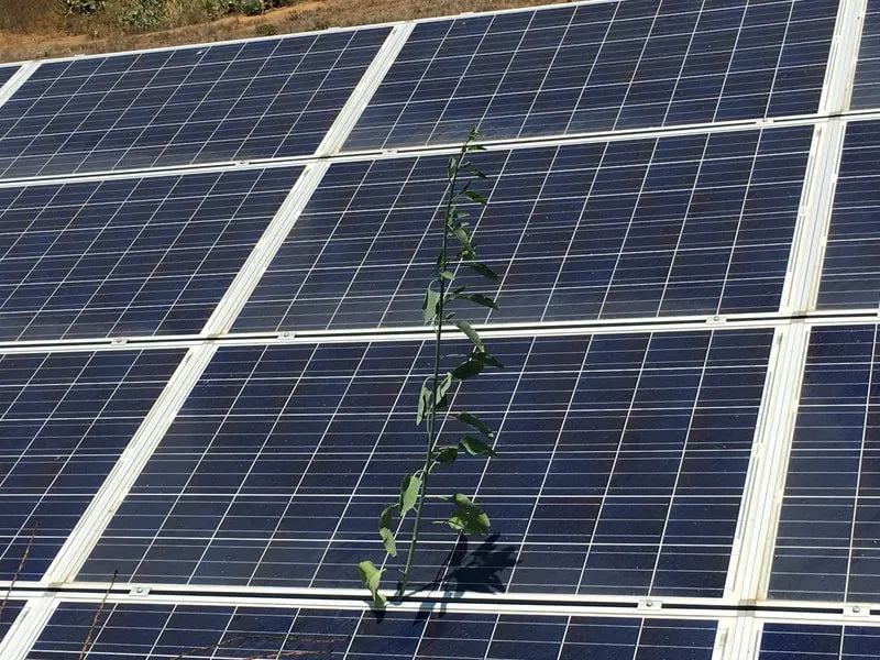 Slide of Brandt Electric