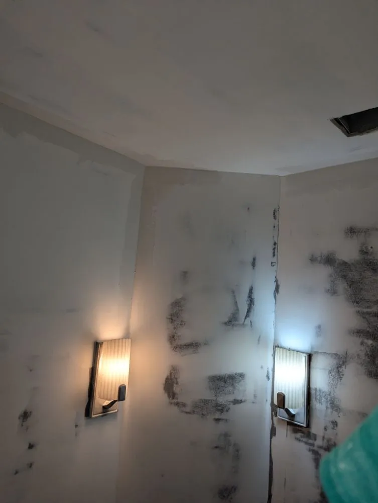 Slide of Bray's Way Repair