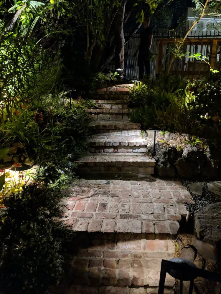 Professional electrician providing outlet and switch repair in , 