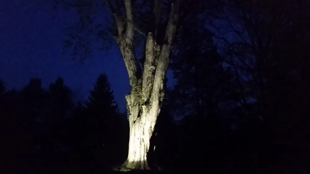 Slide of Brian Millman Electric