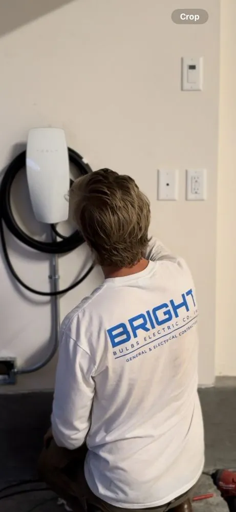 Slide of Bright Bulbs Electric