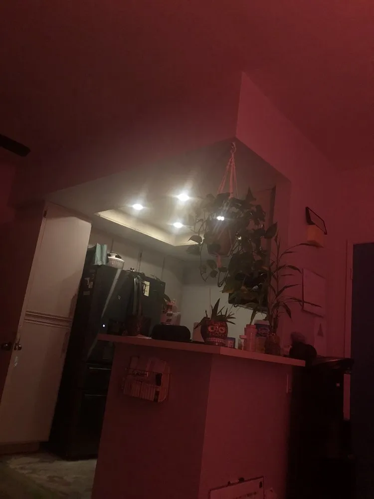 Slide of Bright Idea Electric