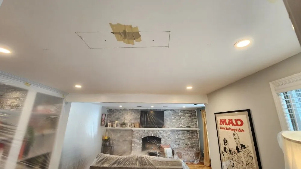 Slide of Bright Light Electric