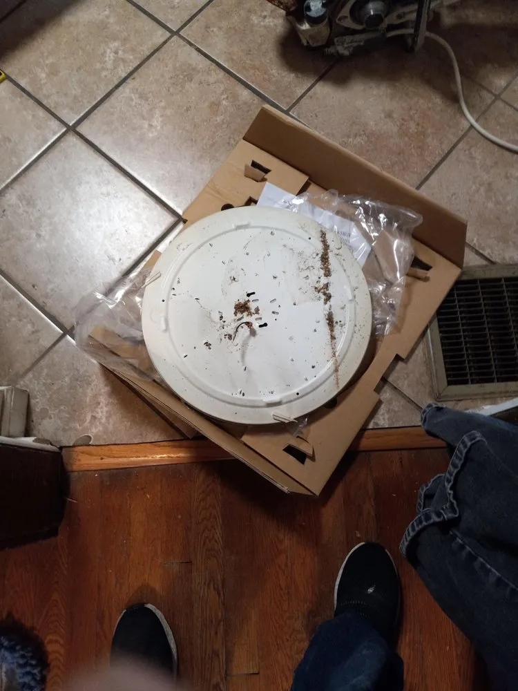 Slide of Bright light electric