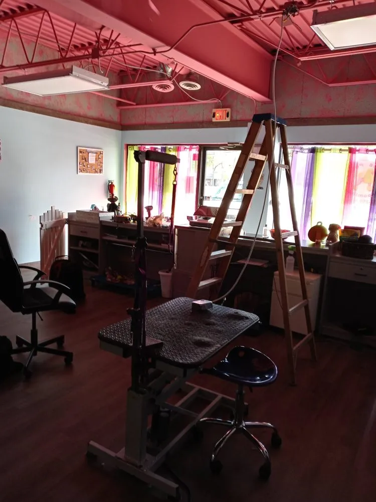 Slide of Bright light electric