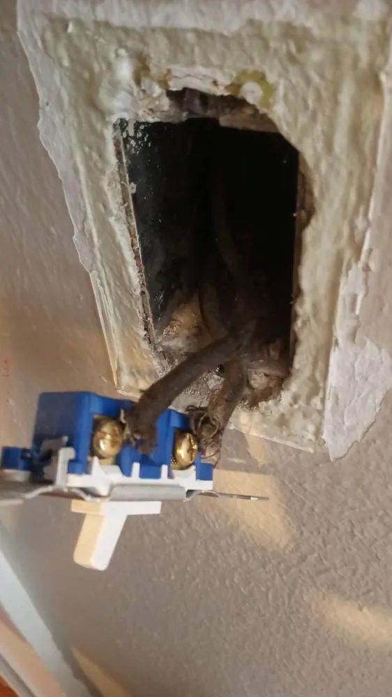 Slide of Bright light electric