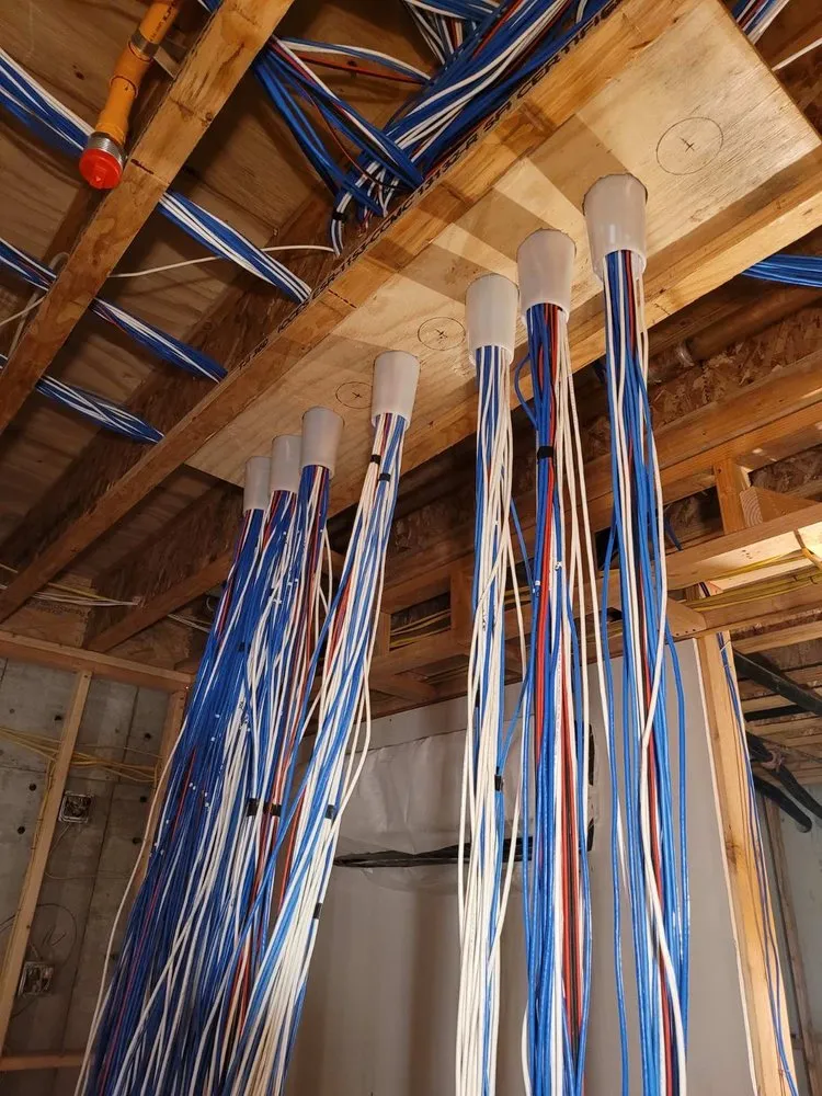 Slide of Brighter Always Electric