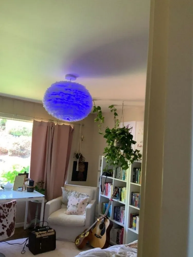 Slide of Brighter Future Electric