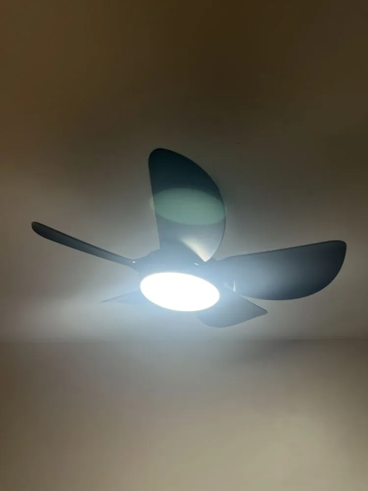 Slide of Brightly Electric