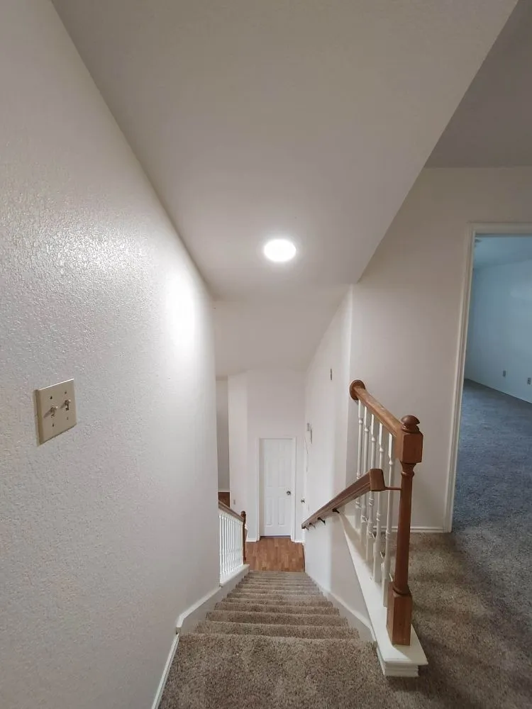 Professional electrical service for homes in wiring installation, by