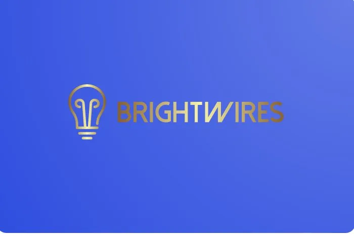 Slide of Brightwires