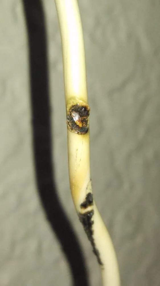 Slide of Brilliant Electric