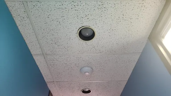 Broaddus Electric Logo