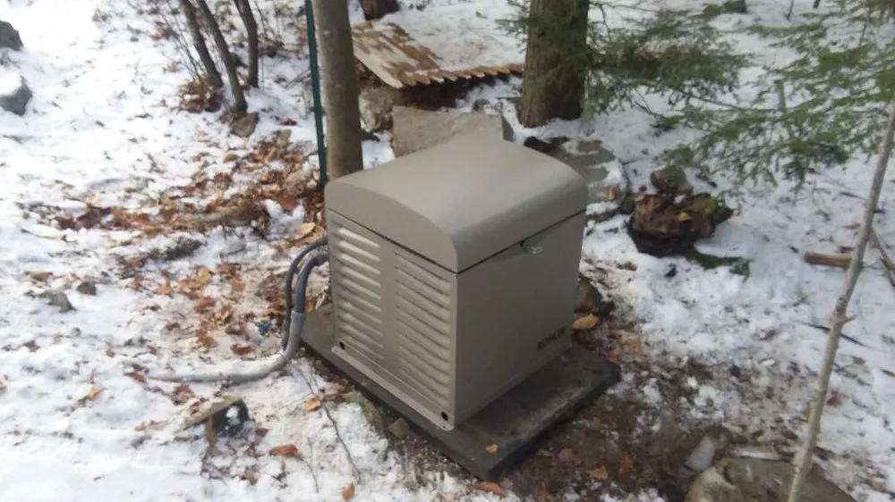 Slide of Brook Trout Electric