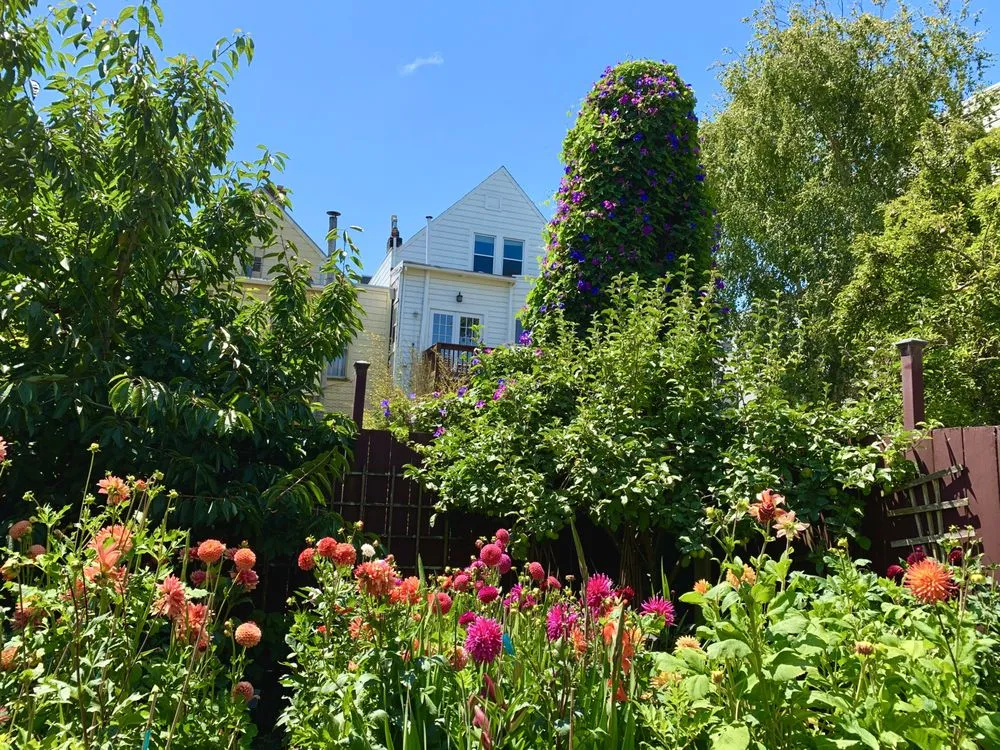 Certified electrician providing panel upgrade in San Francico, CA - Brookline Electric