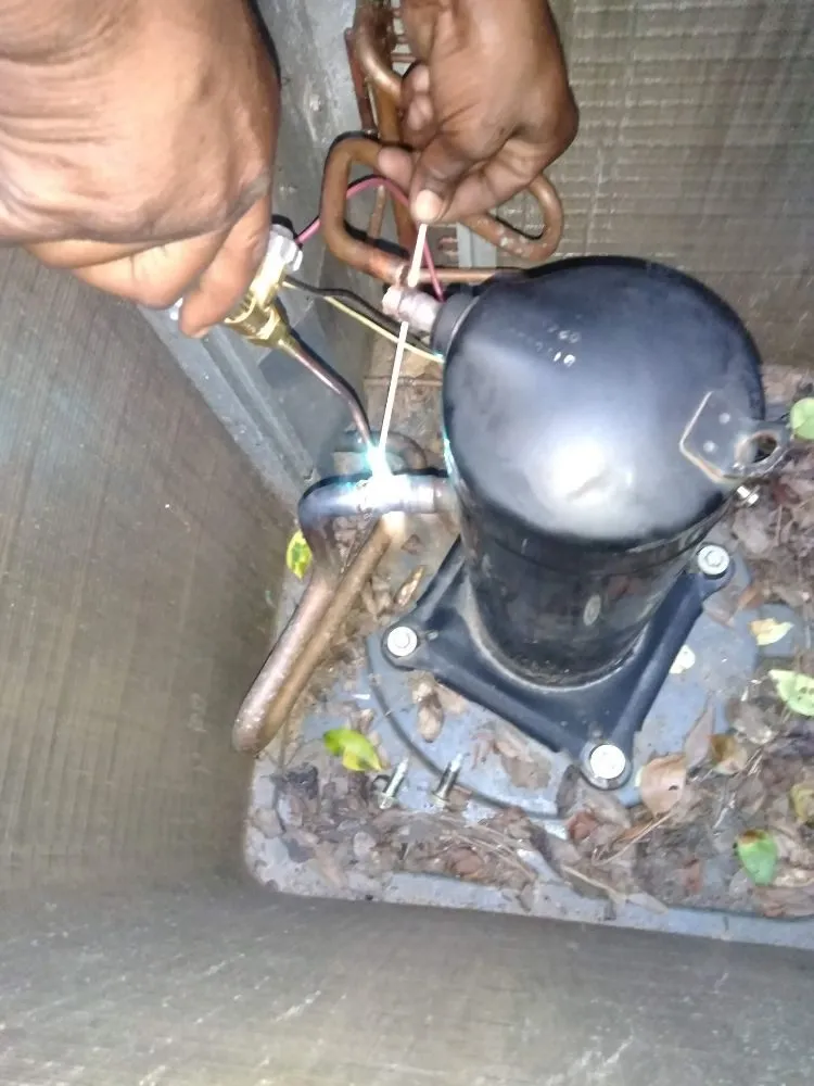 Slide of Brothers in Motion