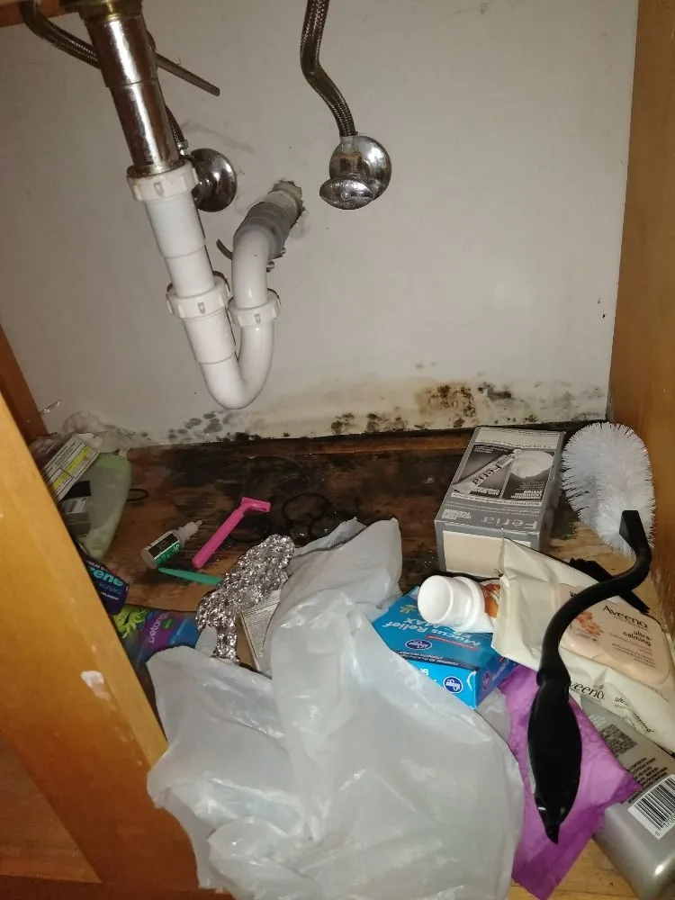 Slide of Brothers in Motion