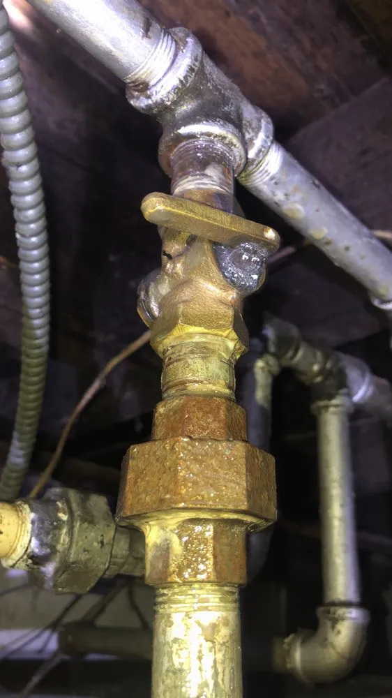 Slide of Brown and Son