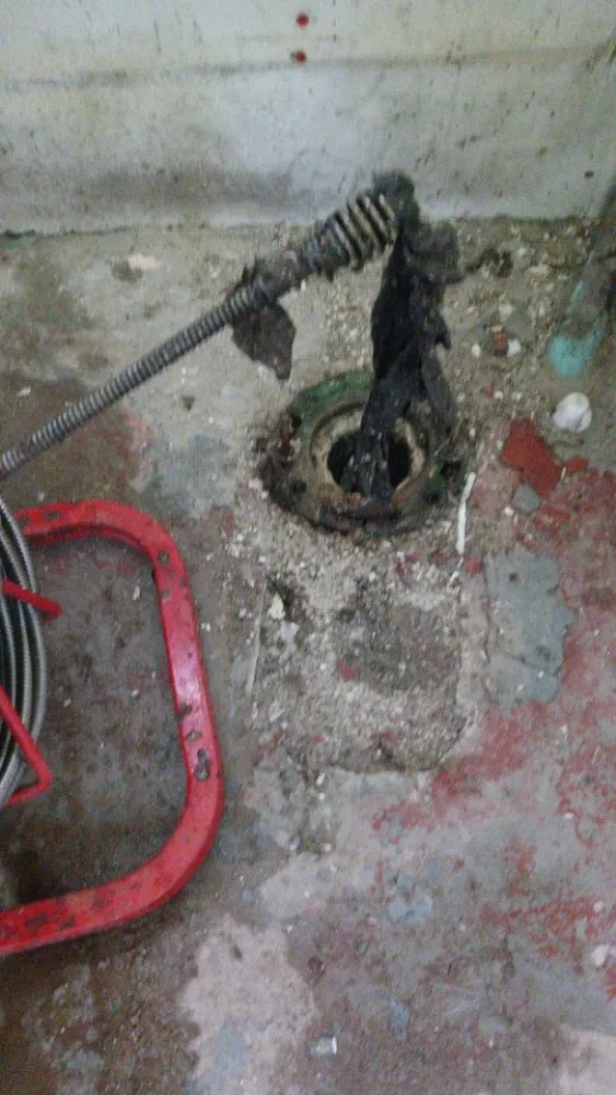 Slide of Brown and Son