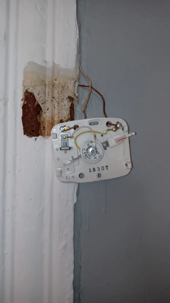 Slide of Brown and Son