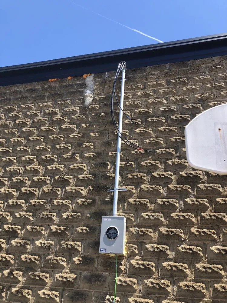 Slide of Brown Bear Electric