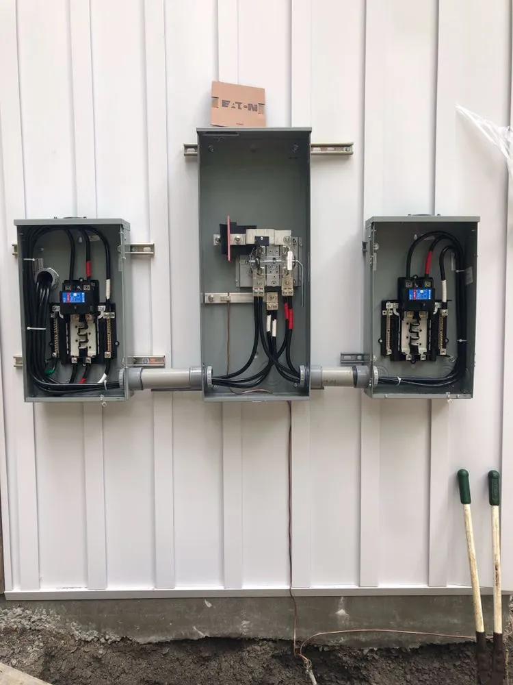 Slide of Brown Bear Electric