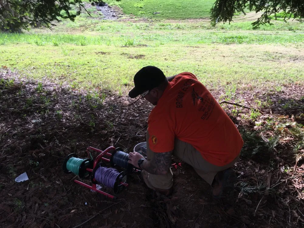 Slide of Brown Electric