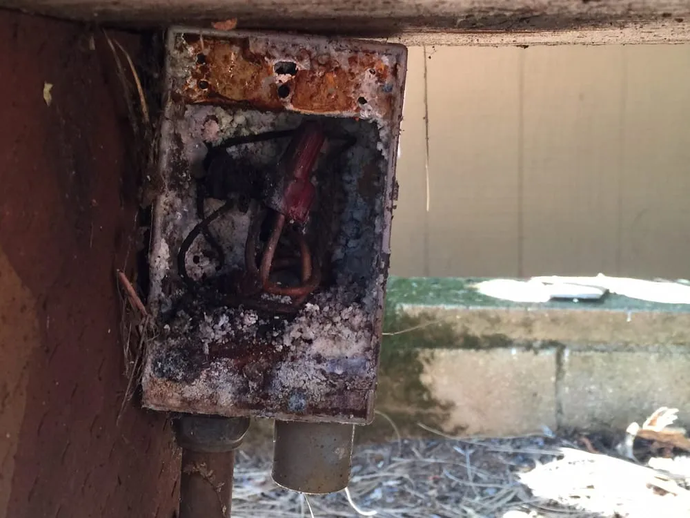 Slide of Brown Electric