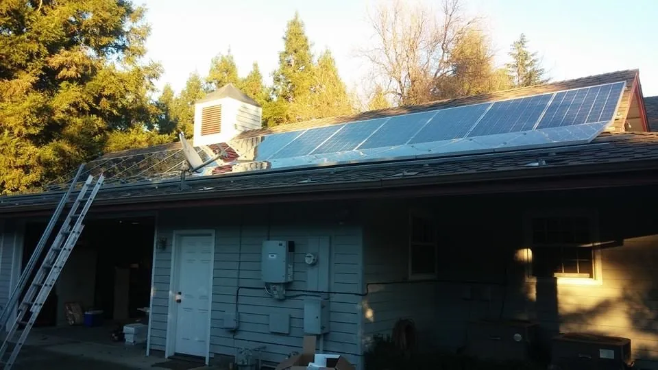 Slide of Brown Electric