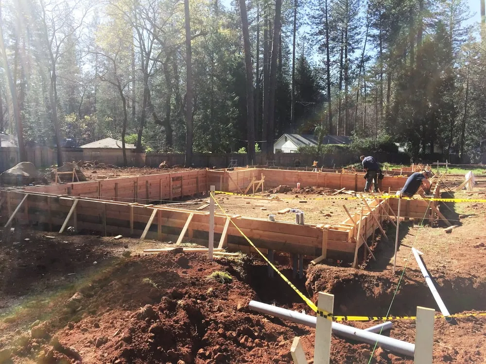 Slide of Brown Electric