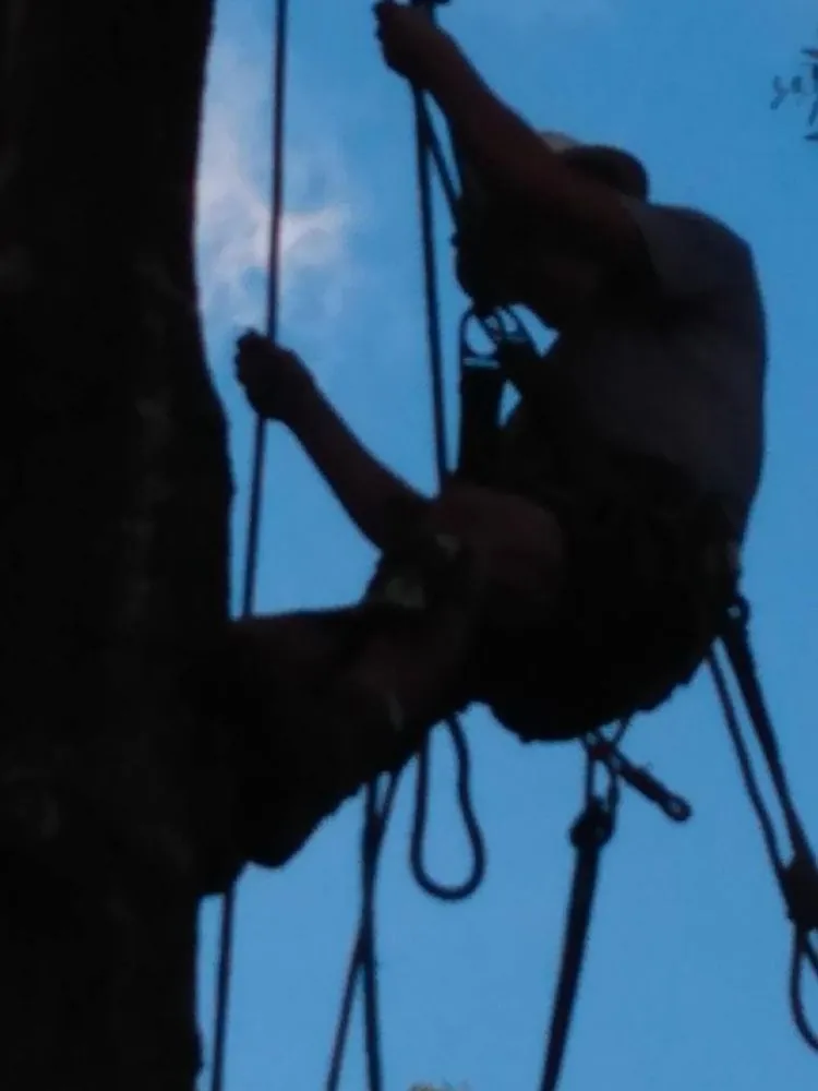 Slide of Bryan Electric And Tree