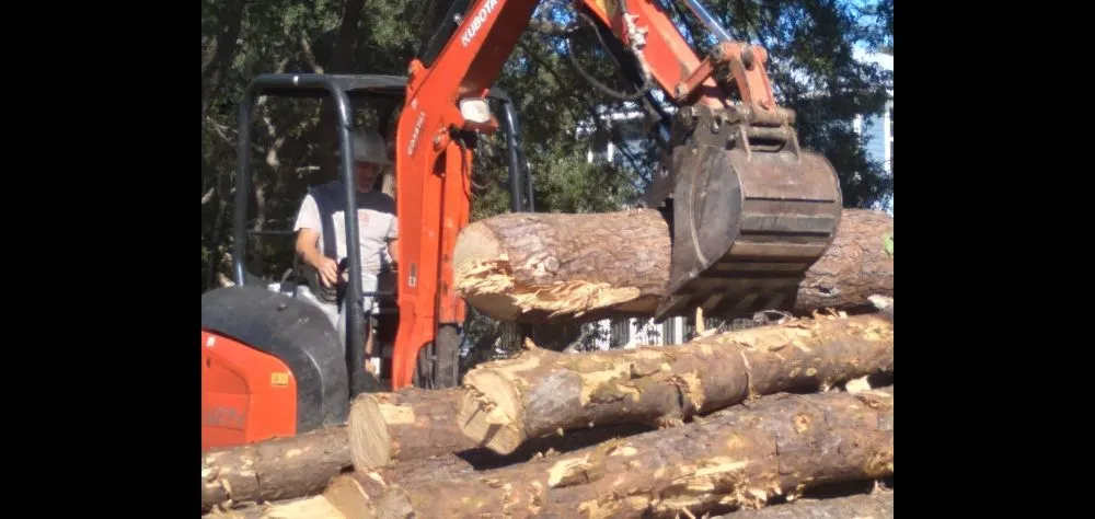 Slide of Bryan Electric And Tree