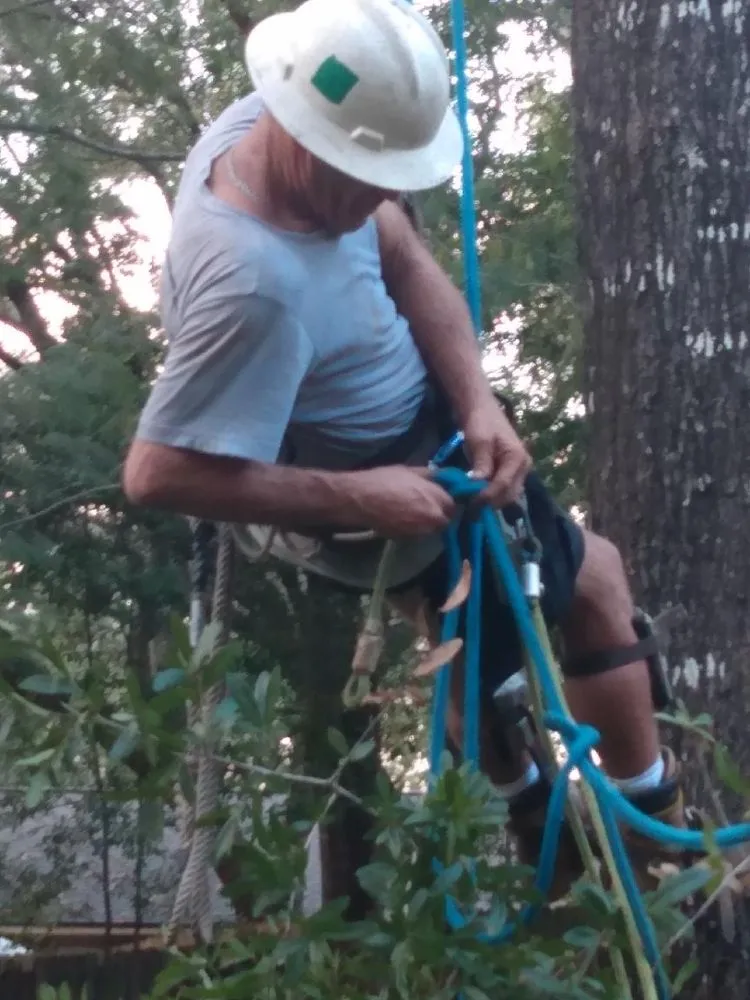 Slide of Bryan Electric And Tree