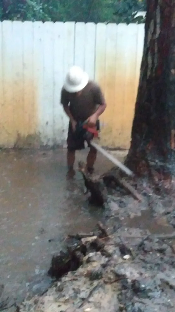 Slide of Bryan Electric And Tree