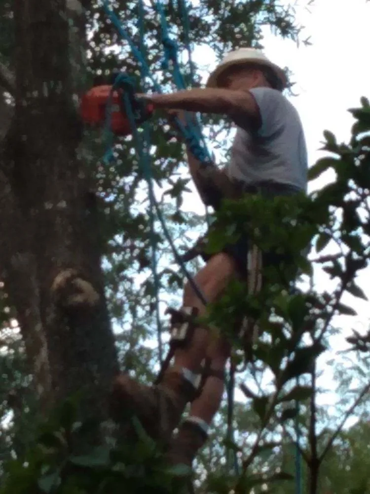 Slide of Bryan Electric And Tree