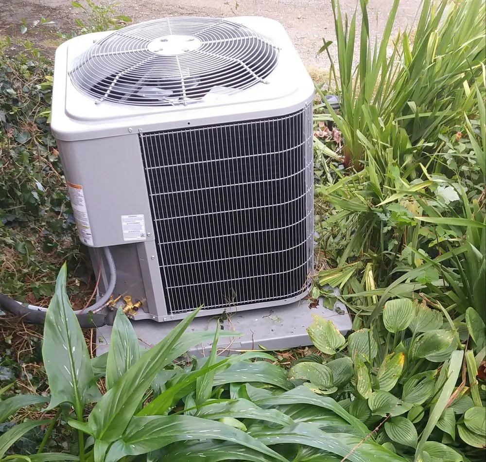 Expert lighting installation in , by Bryant Heating, Cooling, Plumbing, & Electric