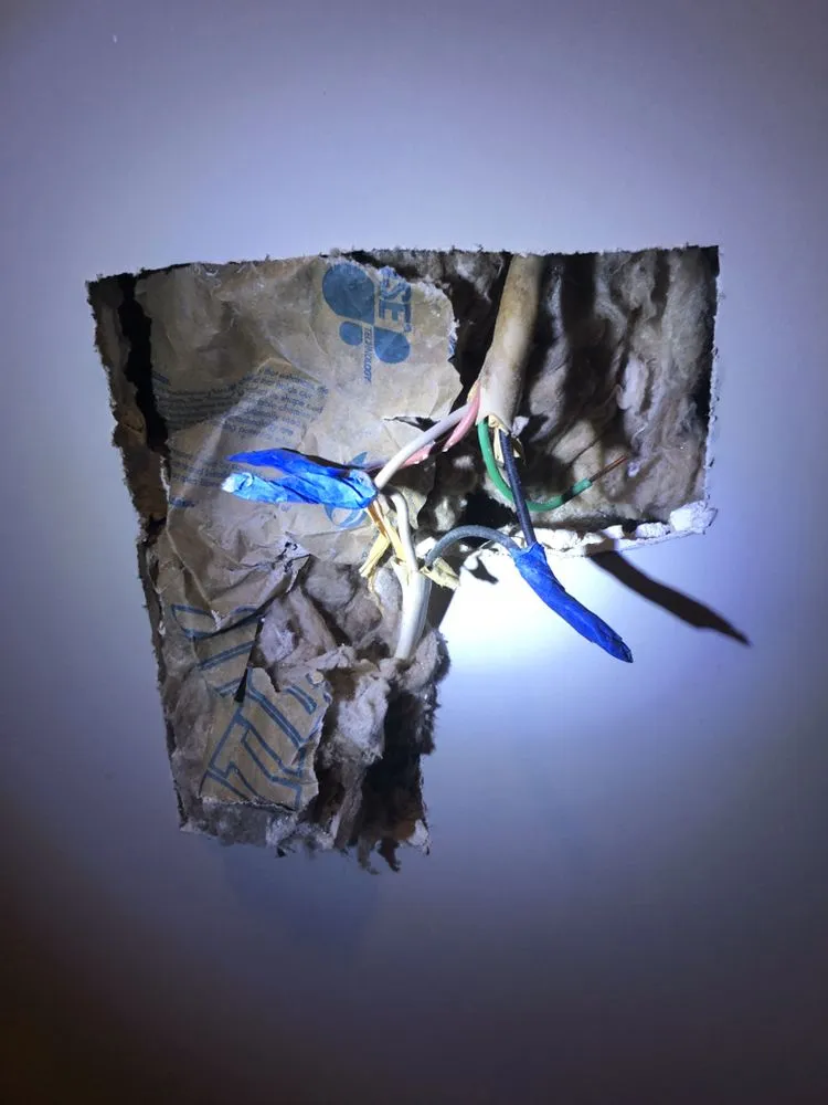 Slide of Bryco Electric