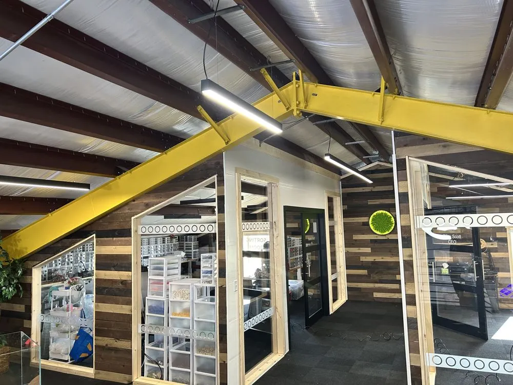 Slide of B.S Electric