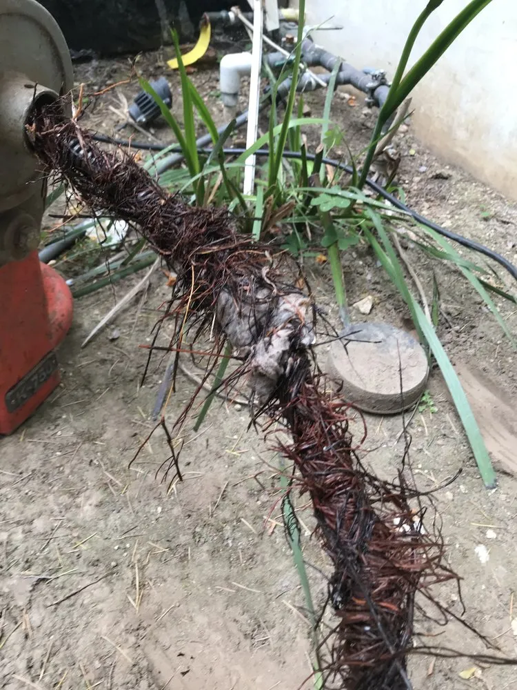 Affordable lighting installation experts serving , - Bubbles Plumbing & Electrical