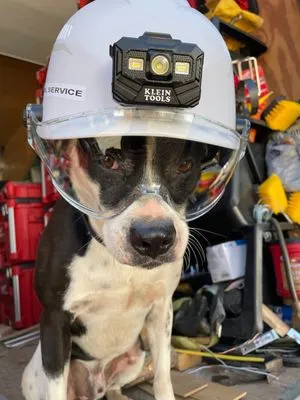 Buck’s Electrical Service