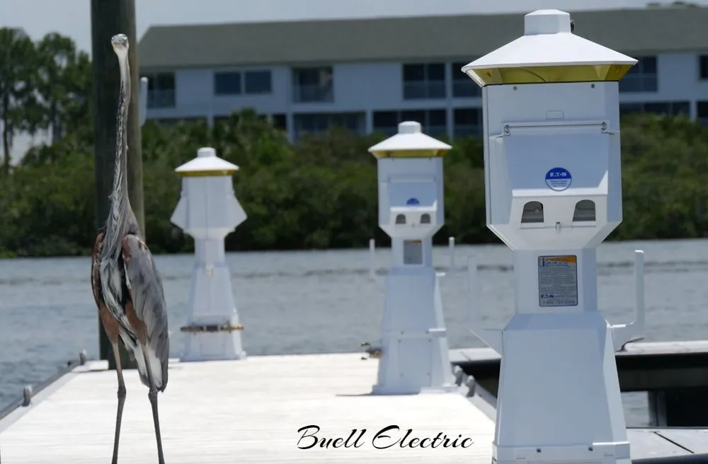 Slide of Buell Electric Inc