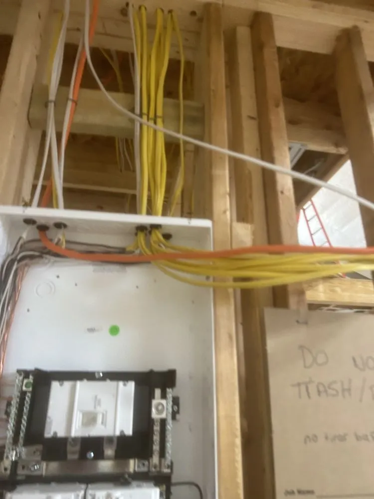 Slide of Buffaloe & Sons Electric